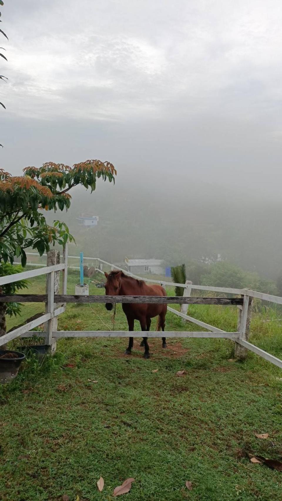 Phang Nga Viewpoint المظهر الخارجي الصورة